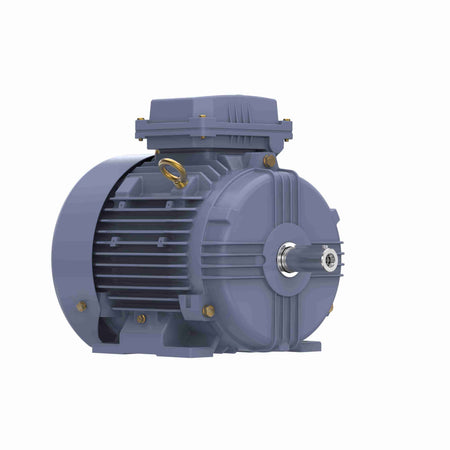 Marathon Electric Cast Iron Motor, 5.50 HP, 3 Ph, 50 Hz, 380 V, 1500 RPM, 112M Frame, TEFC