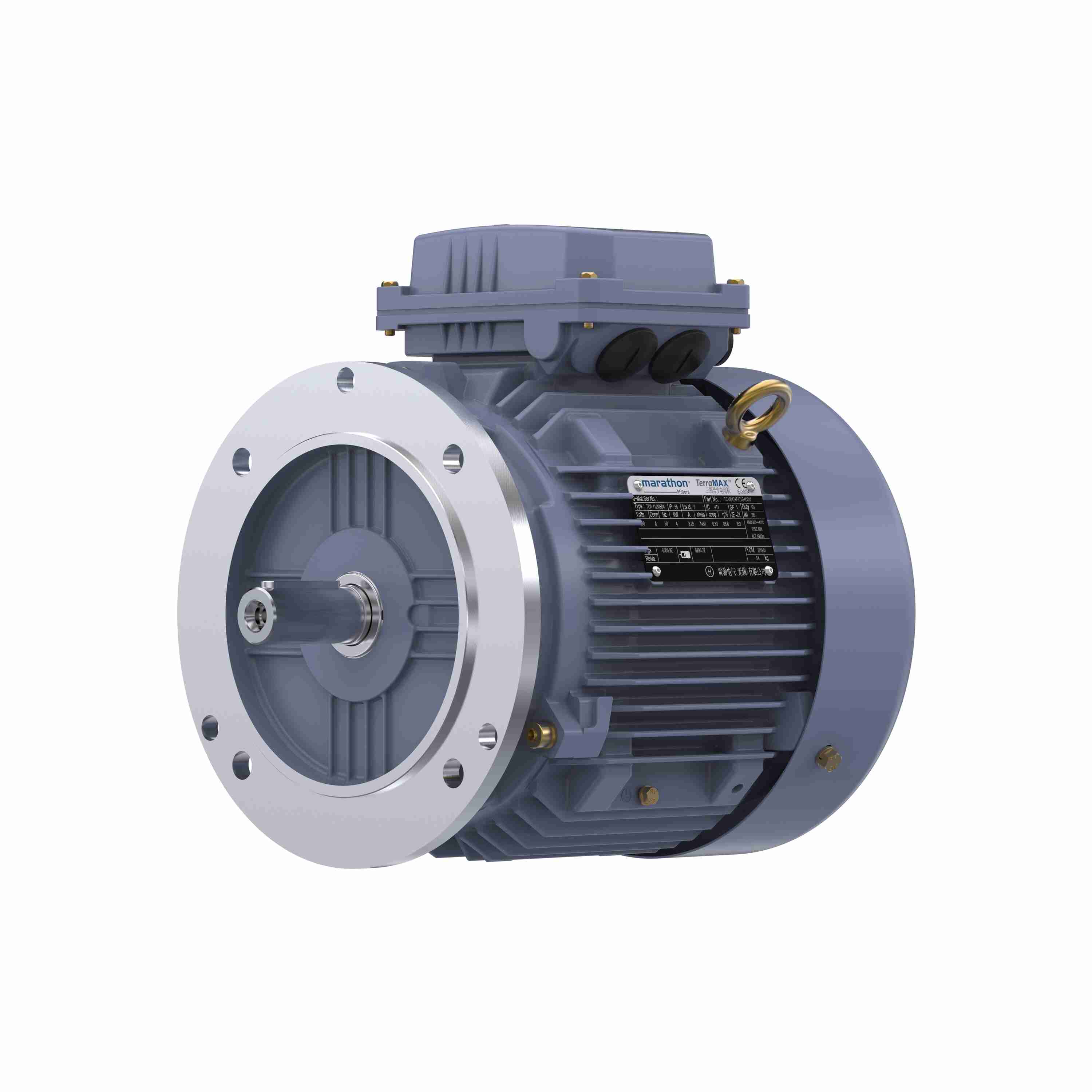Marathon Electric Cast Iron Motor, 5.50 HP, 3 Ph, 50 Hz, 380 V, 3000 RPM, 112M Frame, TEFC