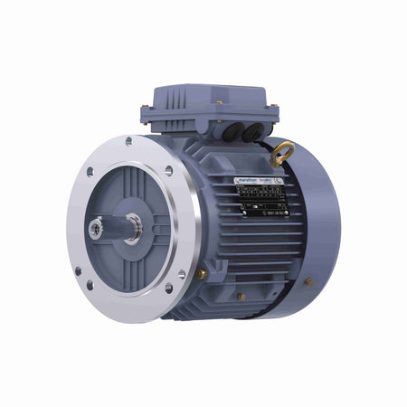 Marathon Electric Cast Iron Motor, 5.50 HP, 3 Ph, 50 Hz, 380 V, 3000 RPM, 112M Frame, TEFC