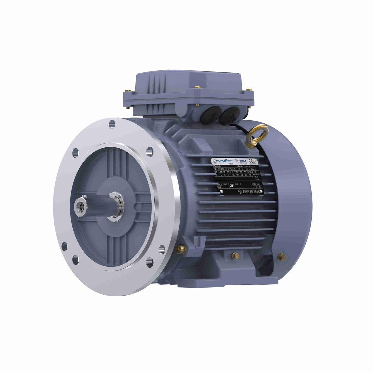 Marathon Electric Cast Iron Motor, 3 HP, 3 Ph, 50 Hz, 380 V, 1000 RPM, 112M Frame, TEFC