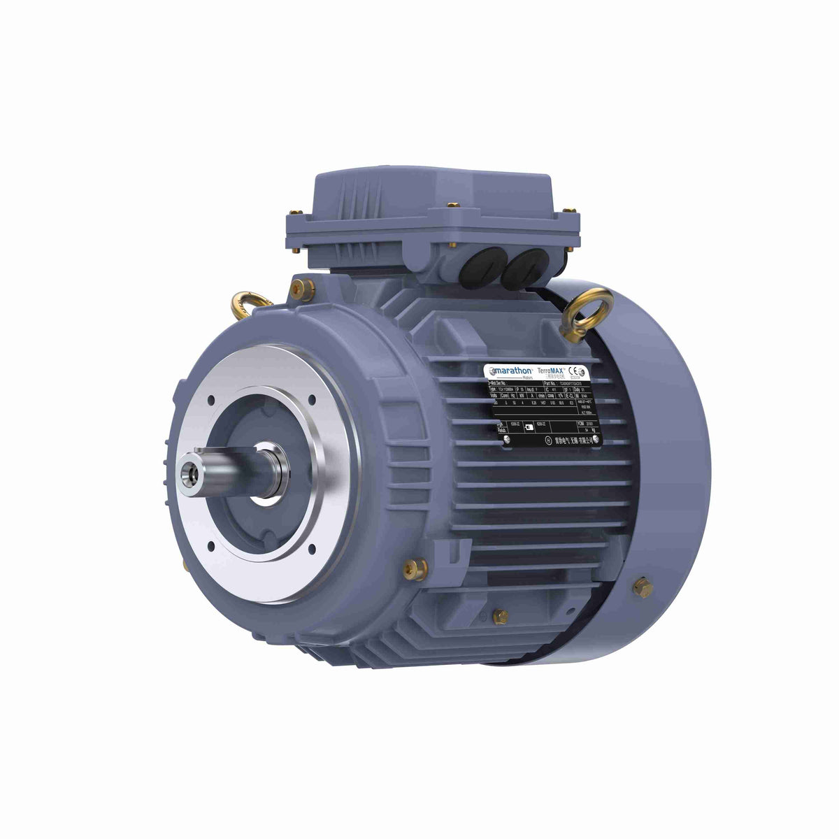 Marathon Electric Cast Iron Motor, 3 HP, 3 Ph, 50 Hz, 380 V, 1000 RPM, 112M Frame, TEFC
