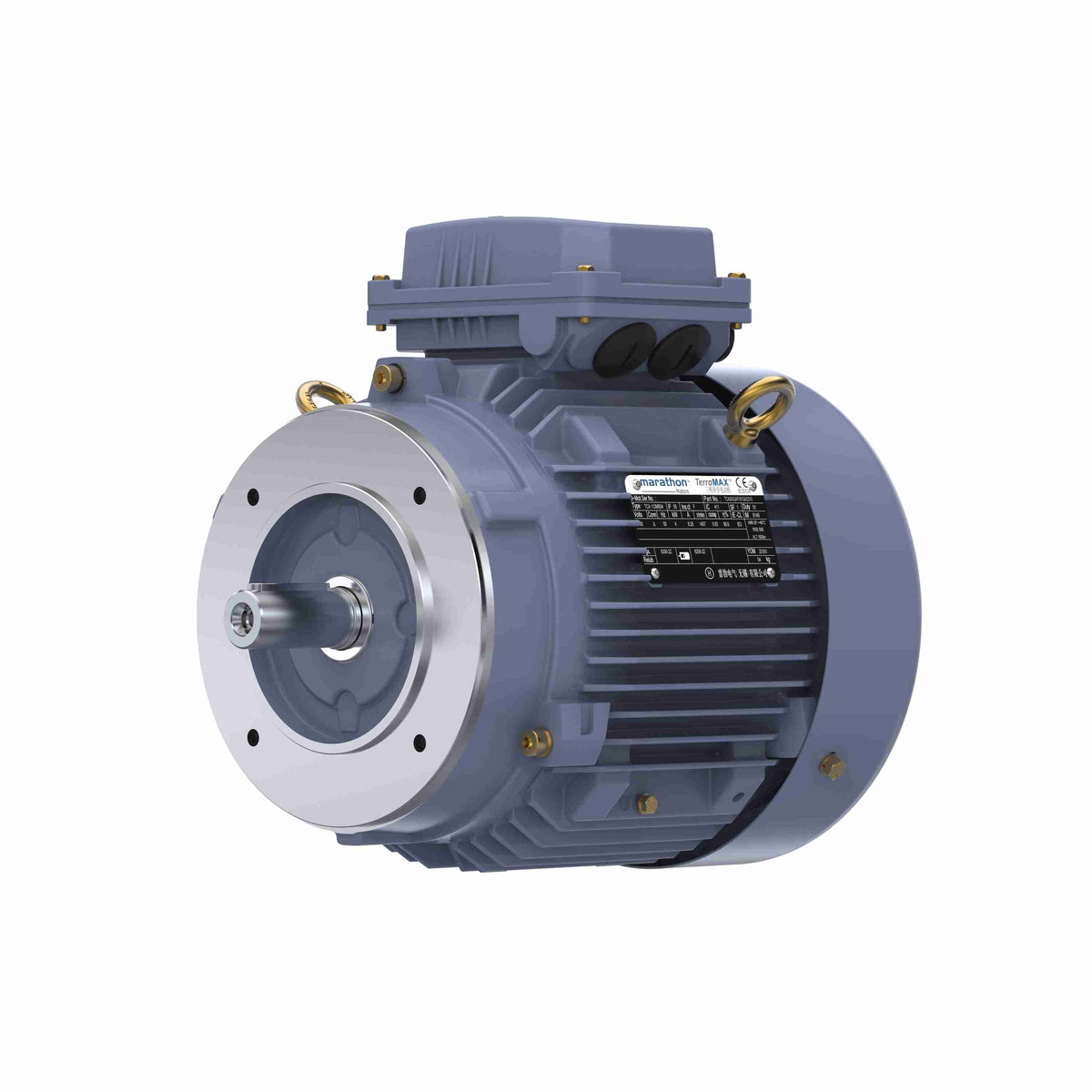 Marathon Electric Cast Iron Motor, 5.50 HP, 3 Ph, 50 Hz, 380 V, 3000 RPM, 112M Frame, TEFC