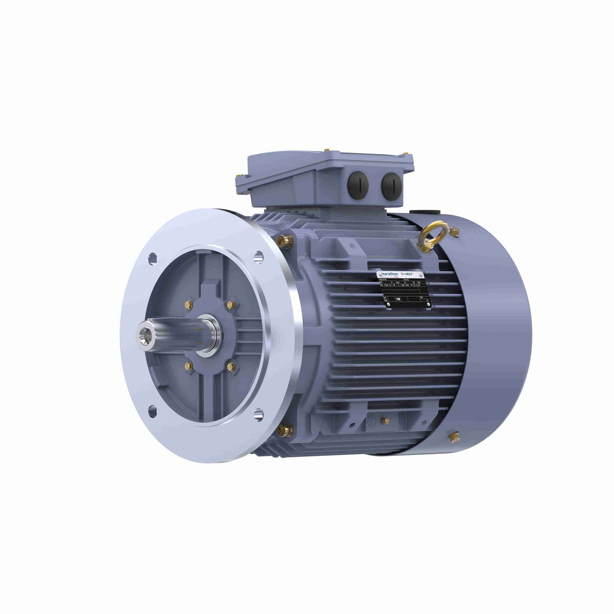 Marathon Electric IE3, 11kW, DUST IGNITION PROOF MOTORS, 3 phase, 2 Pole, 400V, 2955RPM, 50Hz, 91.2%, 160M Frame, TEFC
