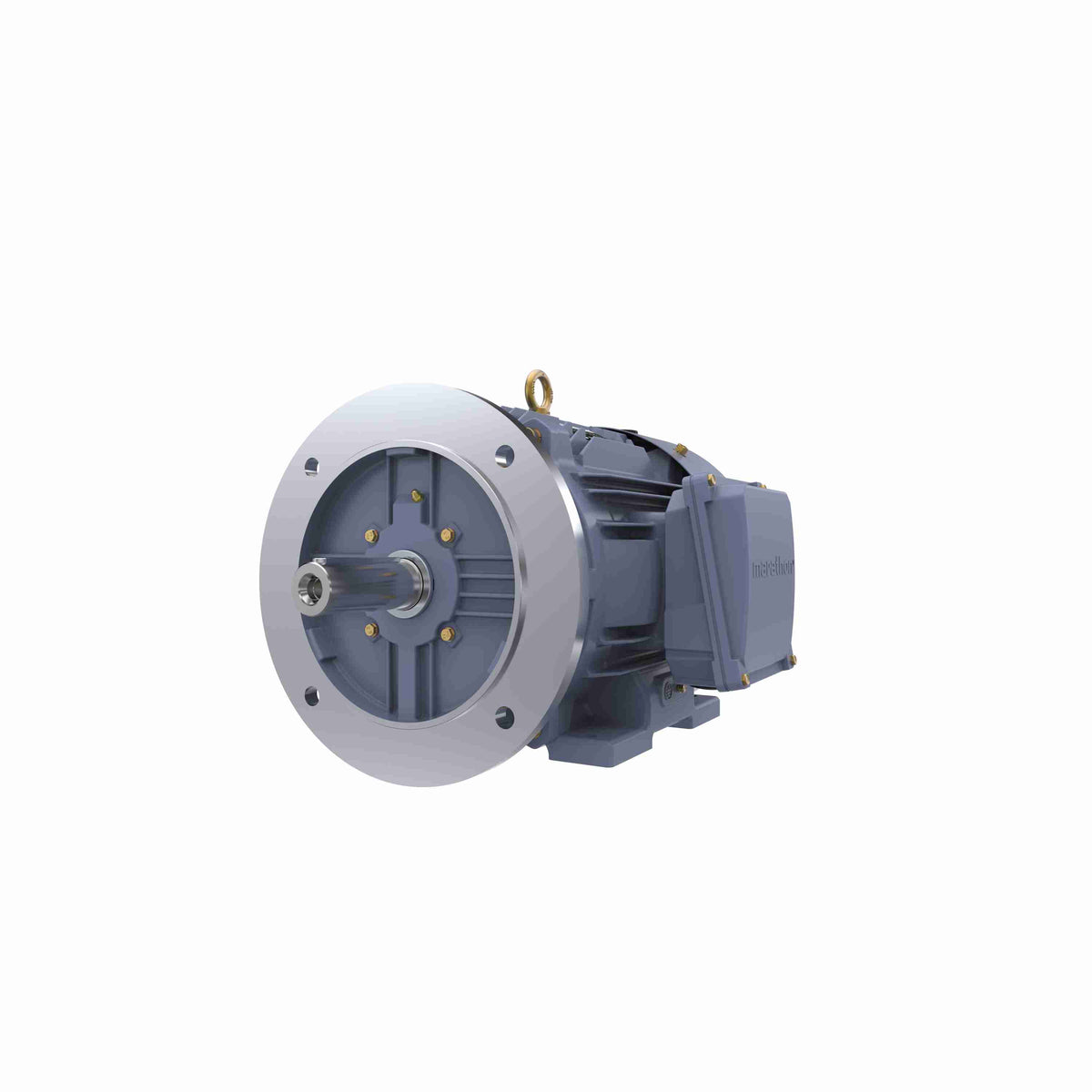 Marathon Electric Cast Iron Motor, 5.50 HP, 3 Ph, 50 Hz, 400 V, 750 RPM, 160M Frame, TEFC