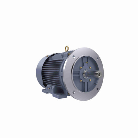 Marathon Electric Cast Iron Motor, 25 HP, 3 Ph, 50 Hz, 400 V, 3000 RPM, 160L Frame, TEFC