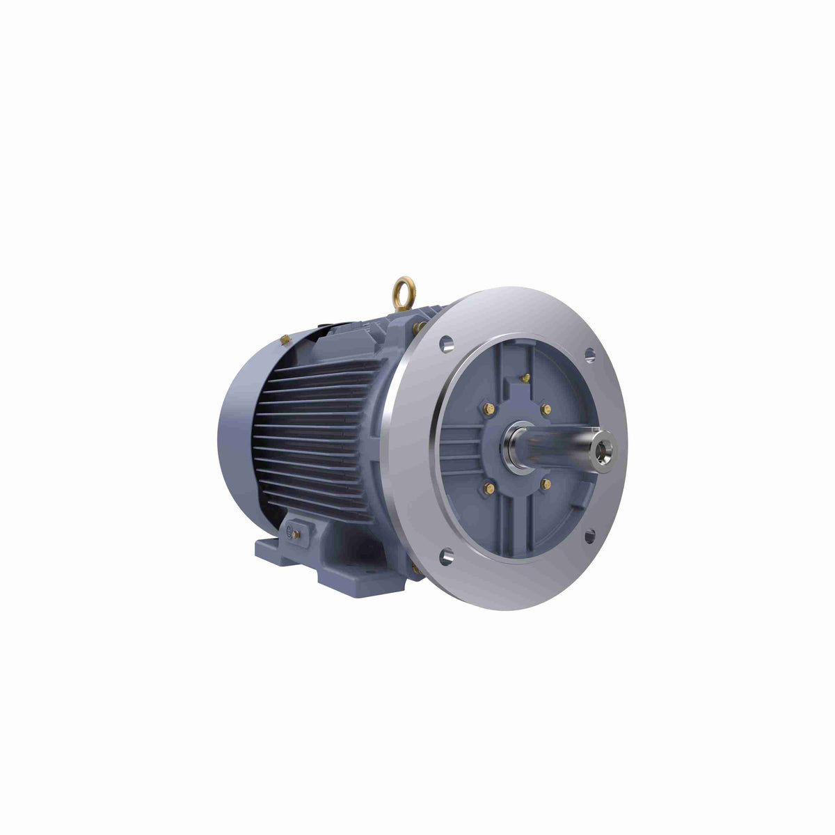 Marathon Electric Cast Iron Motor, 10 HP, 3 Ph, 50 Hz, 400 V, 750 RPM, 160L Frame, TEFC