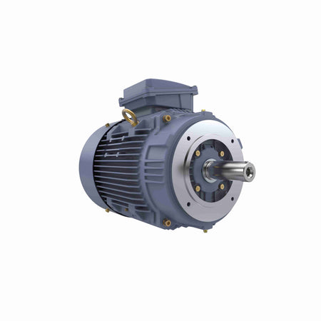 Marathon Electric Cast Iron Motor, 10 HP, 3 Ph, 50 Hz, 415 V, 160L Frame
