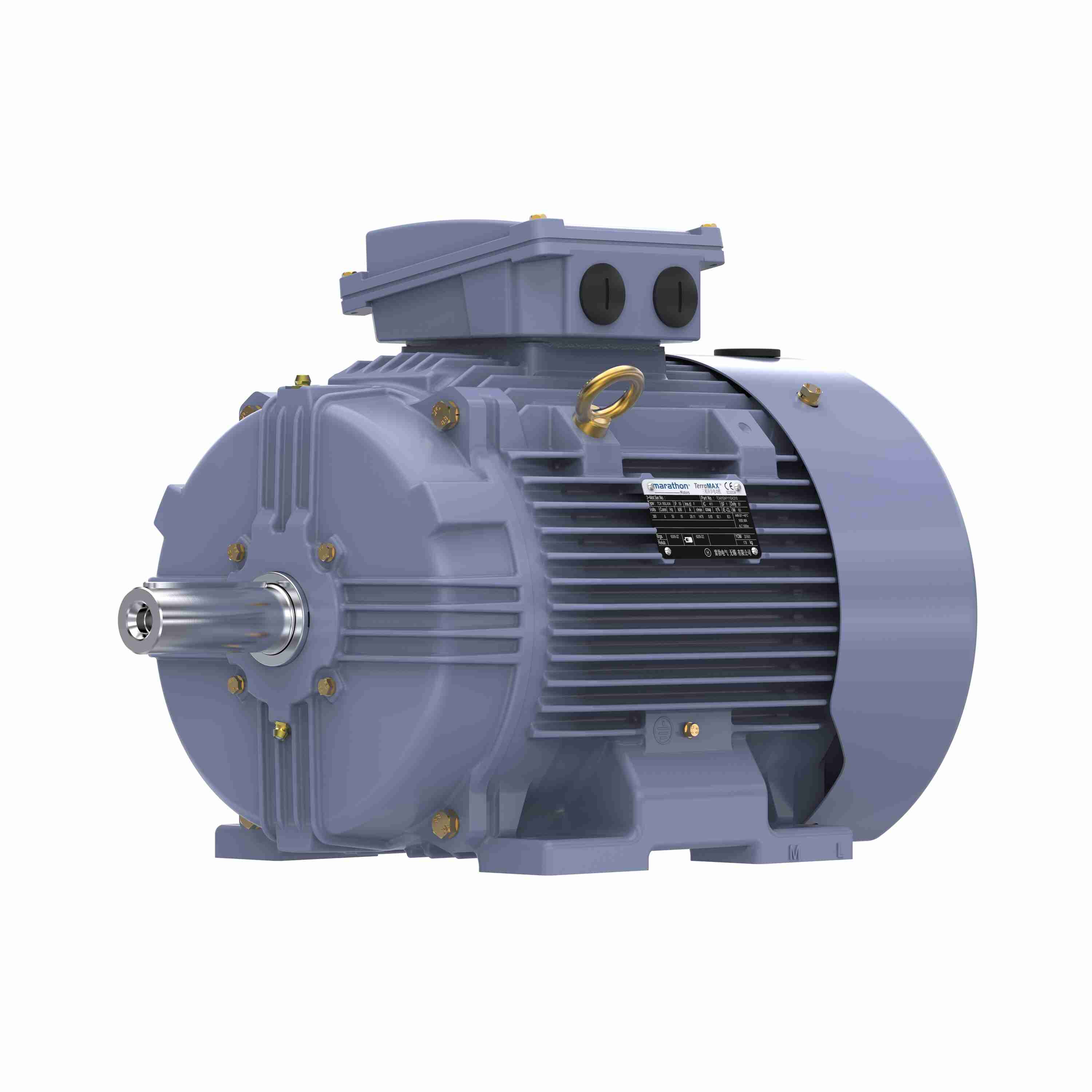 Marathon Electric Cast Iron Motor, 15 HP, 3 Ph, 50 Hz, 380 V, 1500 RPM, 160M Frame, TEFC