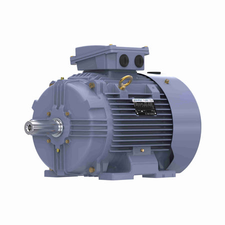 Marathon Electric Cast Iron Motor, 15 HP, 3 Ph, 50 Hz, 380 V, 1500 RPM, 160M Frame, TEFC