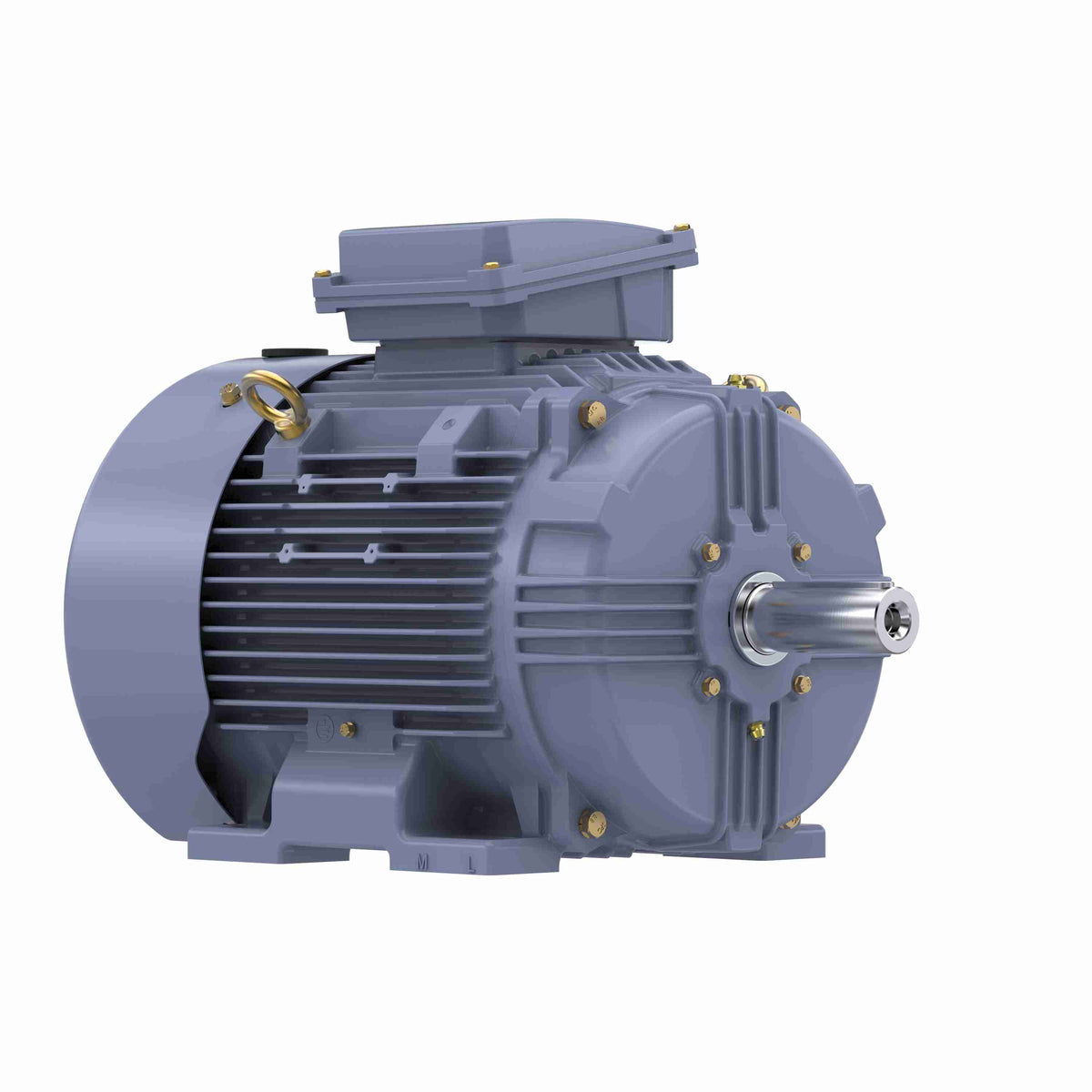 Marathon Electric Cast Iron Motor, 20 HP, 3 Ph, 50 Hz, 380 V, 1500 RPM, 160L Frame, TEFC
