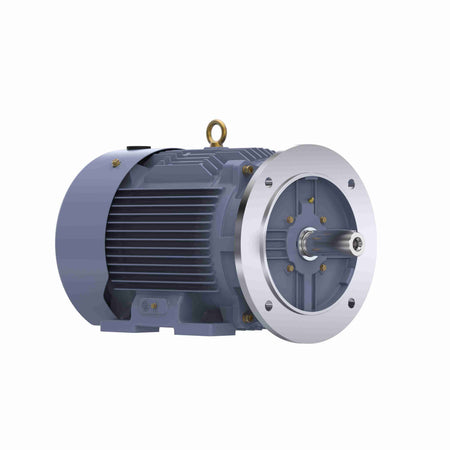 Marathon Electric Cast Iron Motor, 20 HP, 3 Ph, 50 Hz, 380 V, 1500 RPM, 160L Frame, TEFC