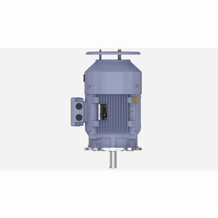 Marathon Electric Cast Iron Motor, 25 HP, 3 Ph, 50 Hz, 380 V, 3000 RPM, 160L Frame, TEFC