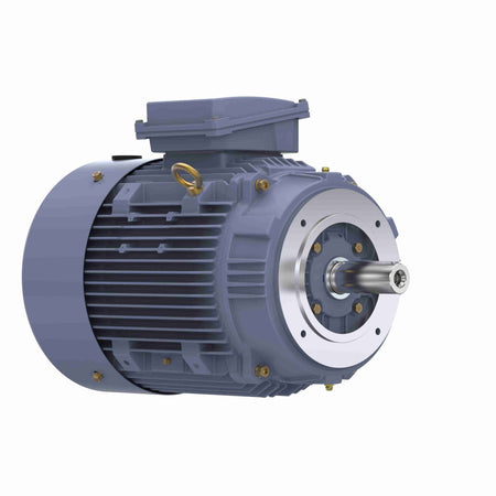 Marathon Electric Cast Iron Motor, 20 HP, 3 Ph, 50 Hz, 380 V, 1500 RPM, 160L Frame, TEFC