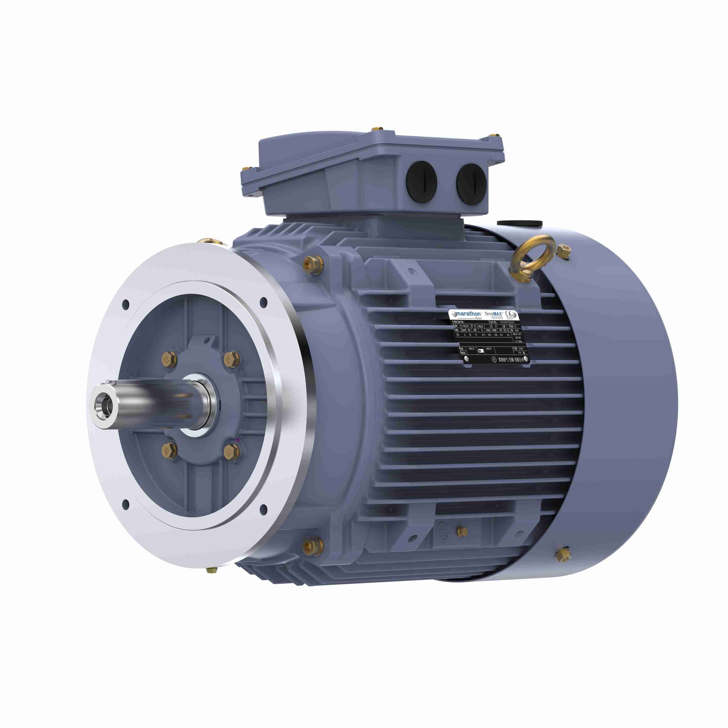 Marathon Electric Cast Iron Motor, 15 HP, 3 Ph, 50 Hz, 380 V, 1000 RPM, 160L Frame, TEFC