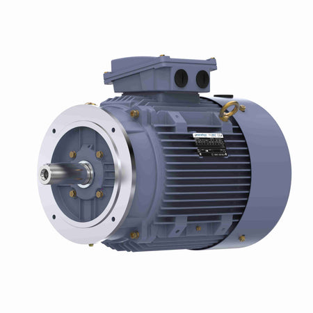 Marathon Electric Cast Iron Motor, 10 HP, 3 Ph, 50 Hz, 380 V, 750 RPM, 160L Frame, TEFC