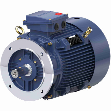 Marathon Electric Cast Iron Motor, 25 HP, 3 Ph, 50 Hz, 400 V, 1500 RPM, 180M Frame, TEFC