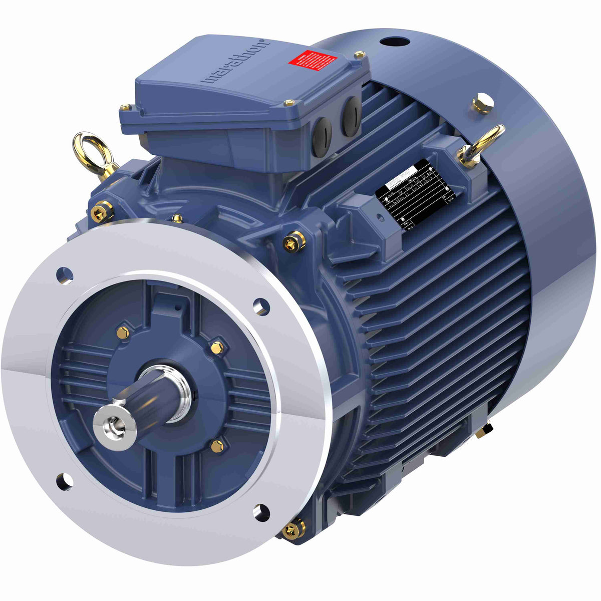 Marathon Electric Cast Iron Motor, 20 HP, 3 Ph, 50 Hz, 400 V, 1000 RPM, 180L Frame, TEFC