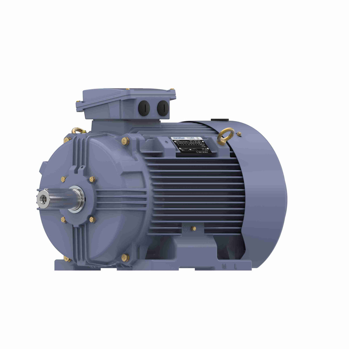 Marathon Electric Cast Iron Motor, 25 HP, 3 Ph, 50 Hz, 380 V, 1500 RPM, 180M Frame, TEFC