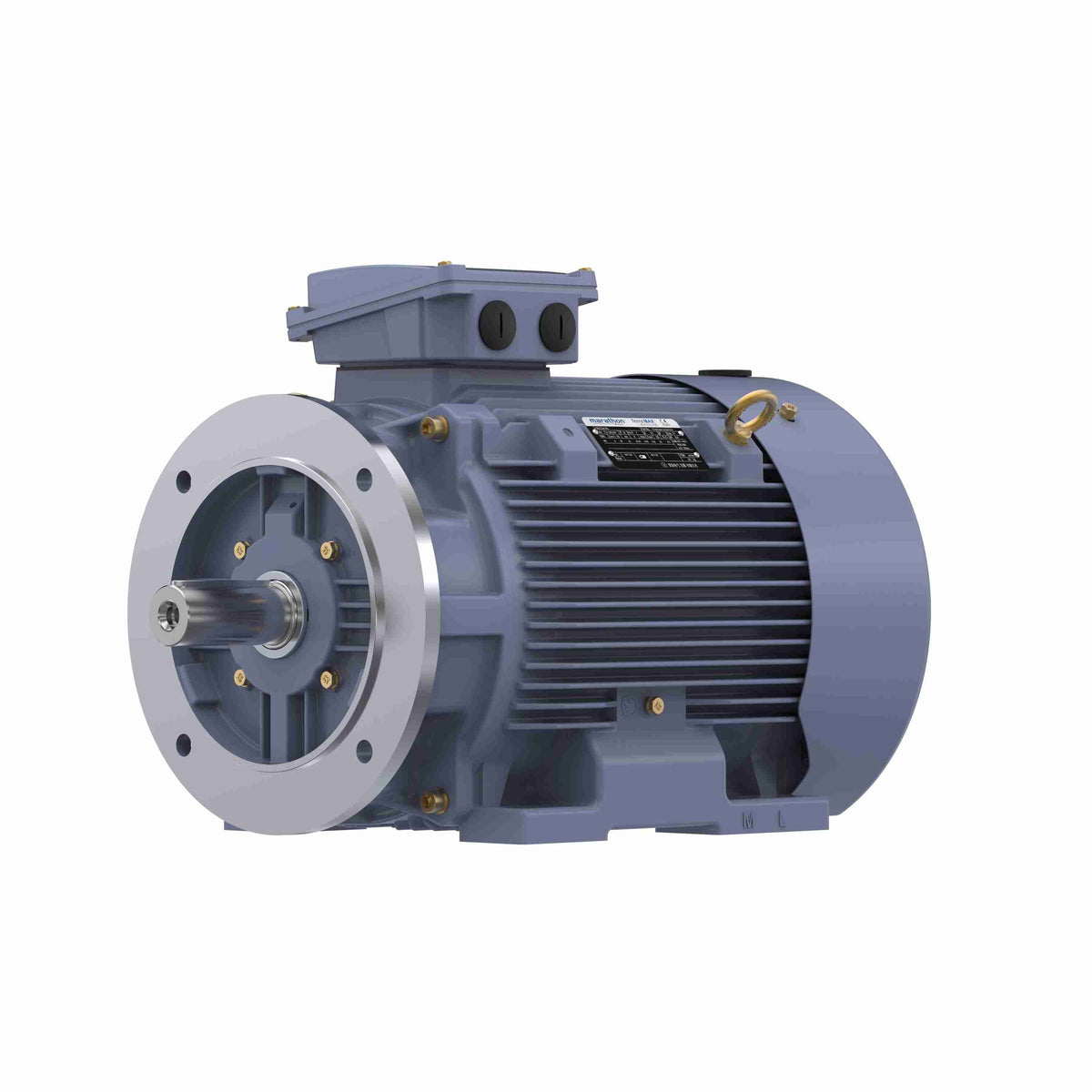 Marathon Electric Cast Iron Motor, 15 HP, 3 Ph, 50 Hz, 380 V, 750 RPM, 180L Frame, TEFC
