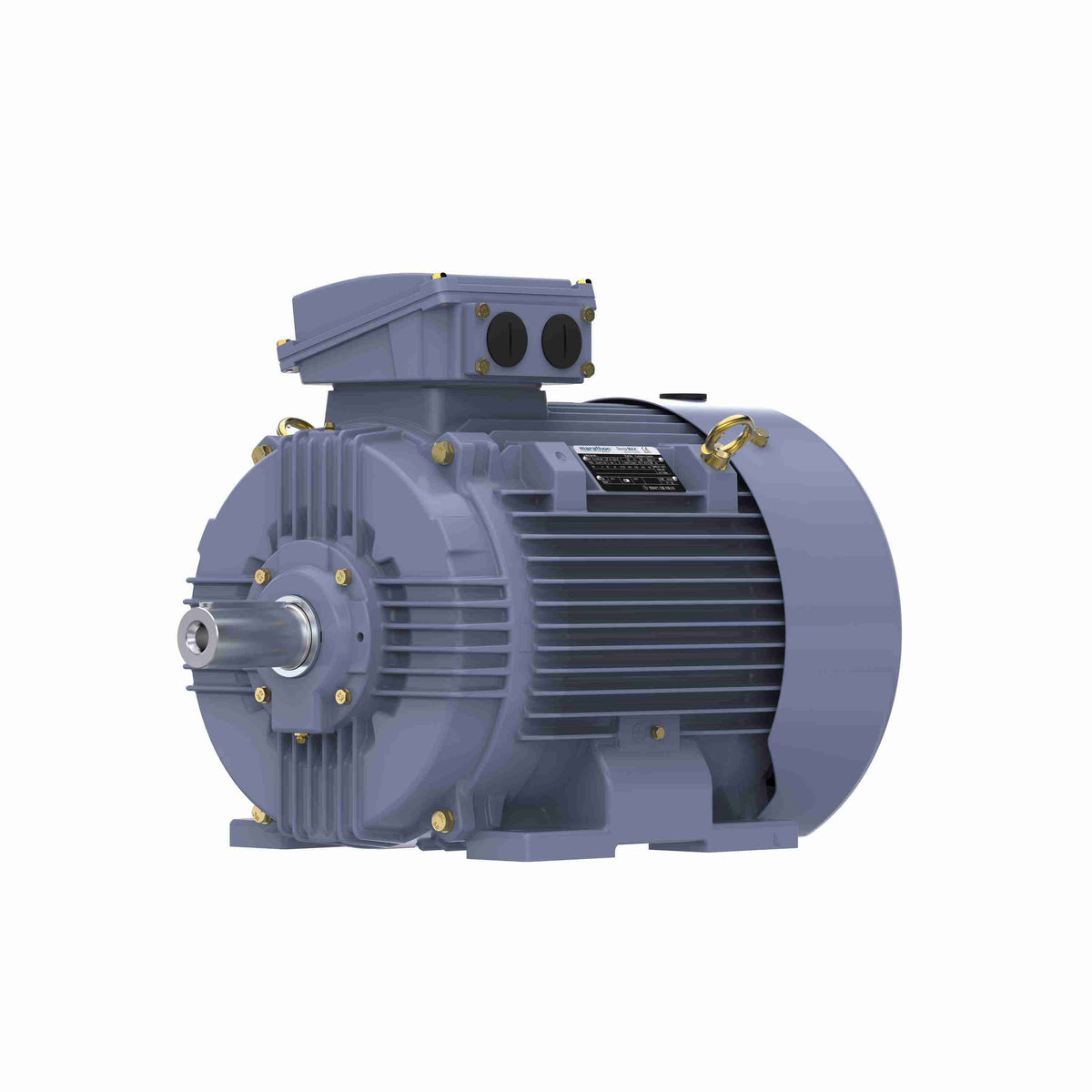 Marathon Electric Cast Iron Motor, 40 HP, 3 Ph, 50 Hz, 380 V, 3000 RPM, 200L Frame, TEFC