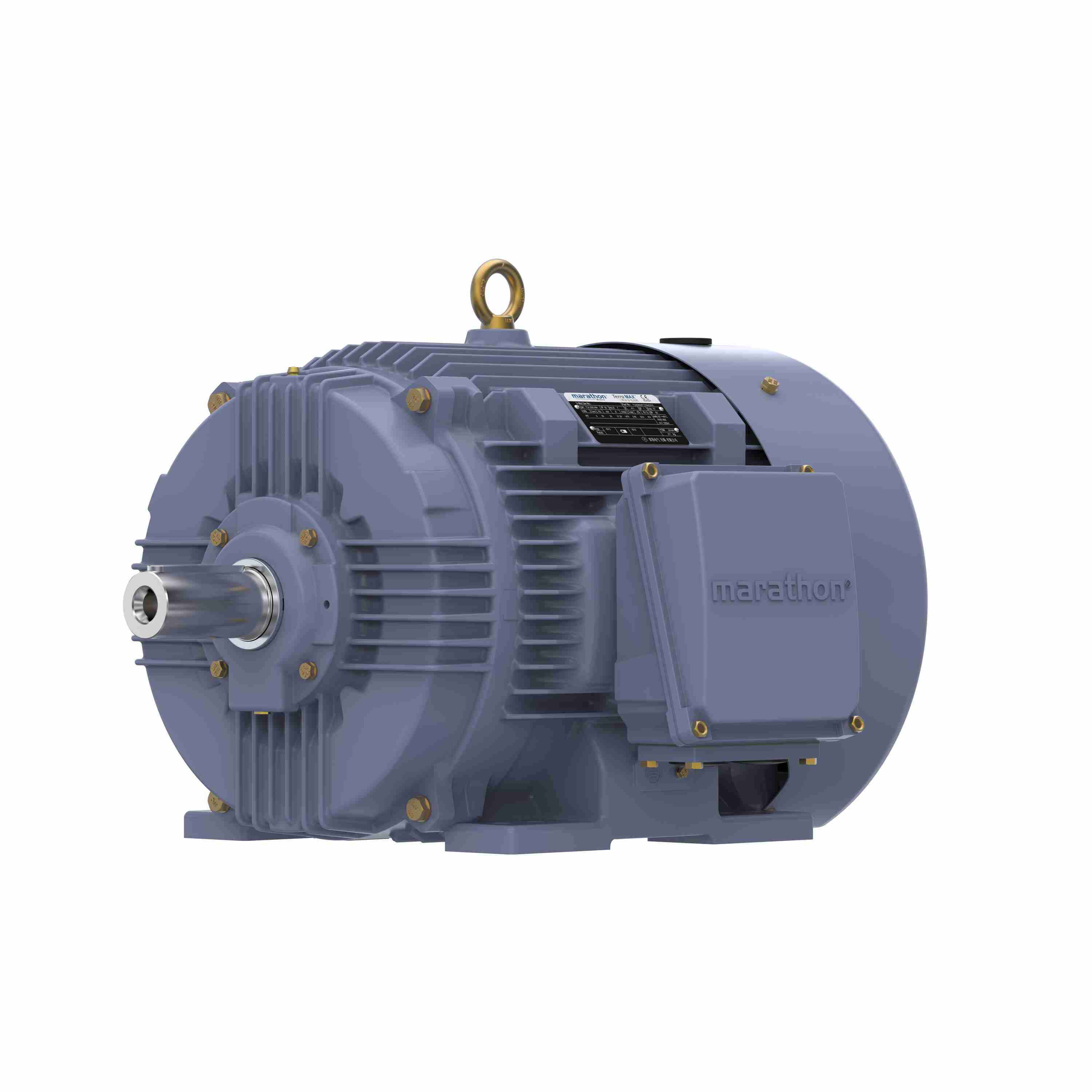 Marathon Electric Cast Iron Motor, 50 HP, 3 Ph, 50 Hz, 380 V, 3000 RPM, 200L Frame, TEFC