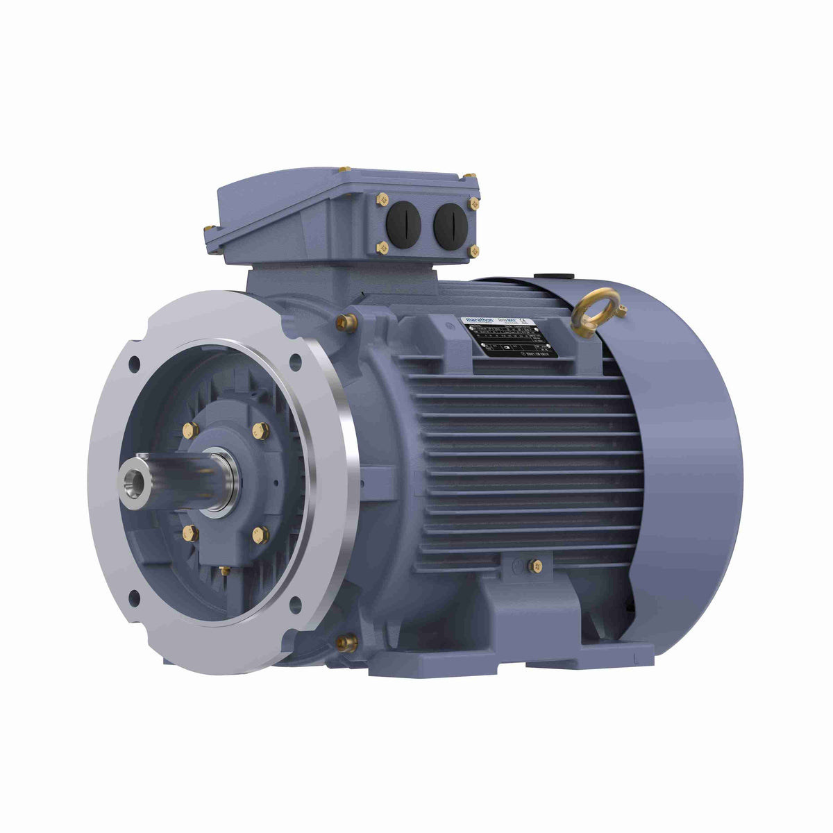 Marathon Electric Cast Iron Motor, 25 HP, 3 Ph, 50 Hz, 380 V, 1000 RPM, 200L Frame, TEFC