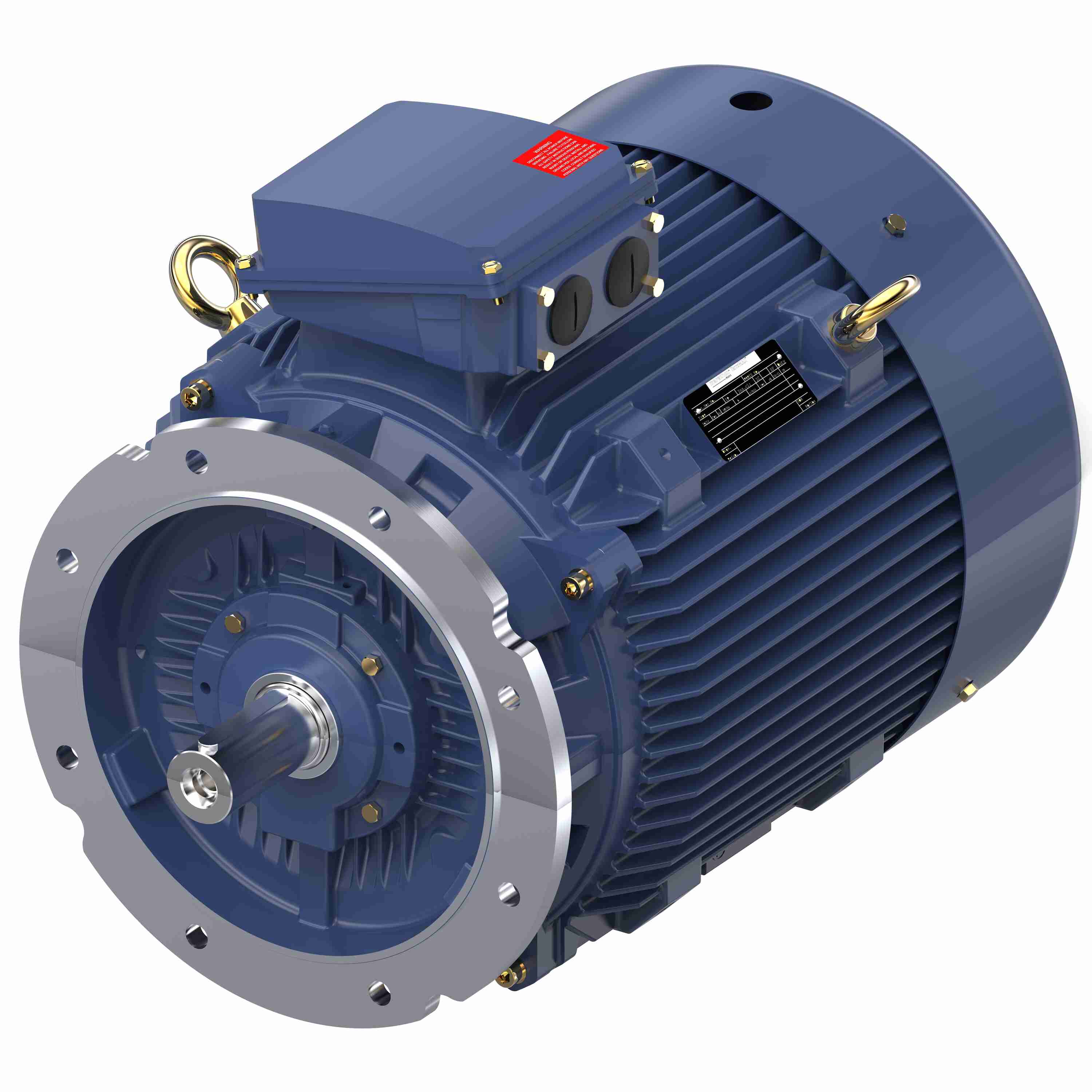 Marathon Electric Cast Iron Motor, 60 HP, 3 Ph, 50 Hz, 400 V, 3000 RPM, 225M Frame, TEFC