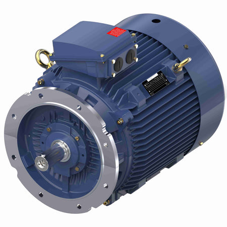 Marathon Electric Cast Iron Motor, 60 HP, 3 Ph, 50 Hz, 400 V, 3000 RPM, 225M Frame, TEFC