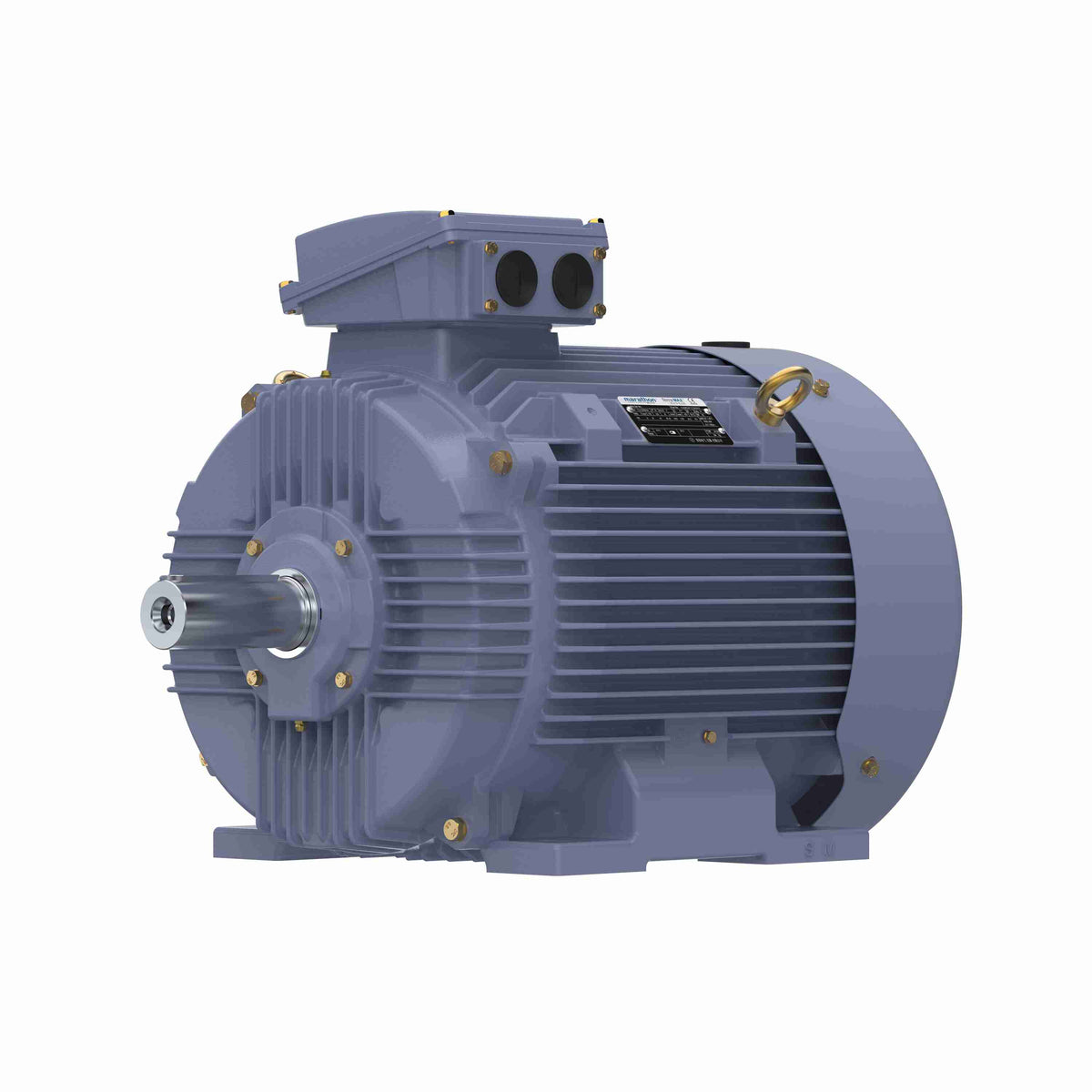 Marathon Electric Cast Iron Motor, 40 HP, 3 Ph, 50 Hz, 380 V, 1000 RPM, 225M Frame, TEFC