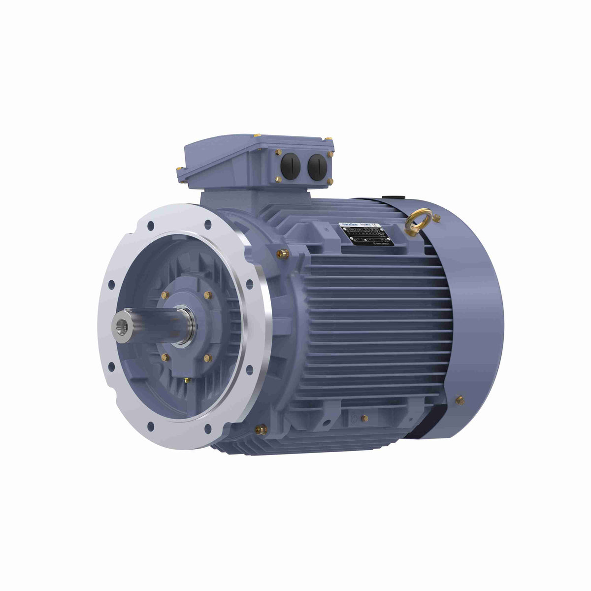 Marathon Electric Cast Iron Motor, 50 HP, 3 Ph, 50 Hz, 380 V, 1500 RPM, 225S Frame, TEFC