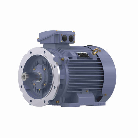 Marathon Electric Cast Iron Motor, 40 HP, 3 Ph, 50 Hz, 380 V, 1000 RPM, 225M Frame, TEFC
