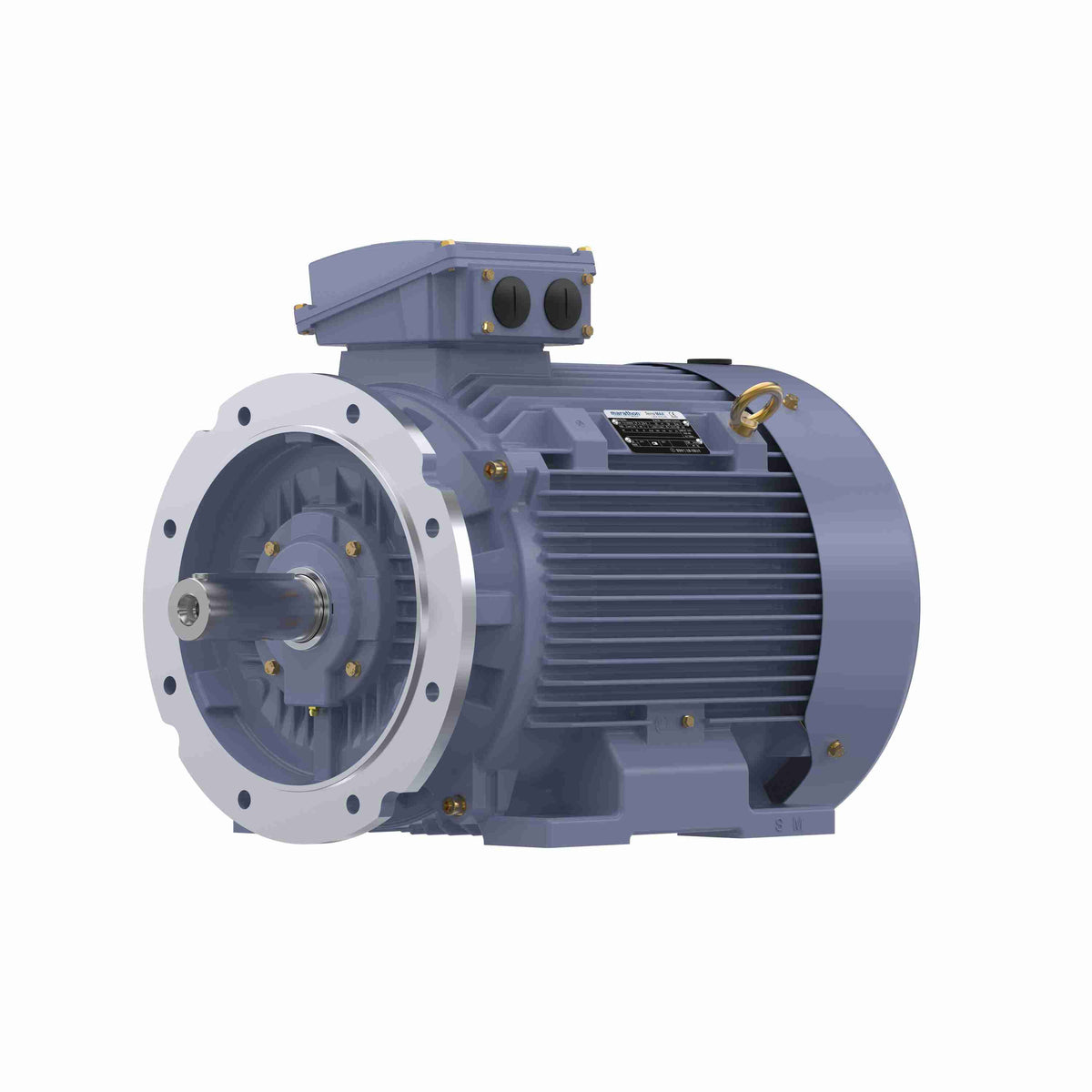 Marathon Electric Cast Iron Motor, 50 HP, 3 Ph, 50 Hz, 380 V, 1500 RPM, 225S Frame, TEFC