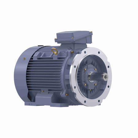 Marathon Electric Cast Iron Motor, 60 HP, 3 Ph, 50 Hz, 380 V, 1500 RPM, 225M Frame, TEFC