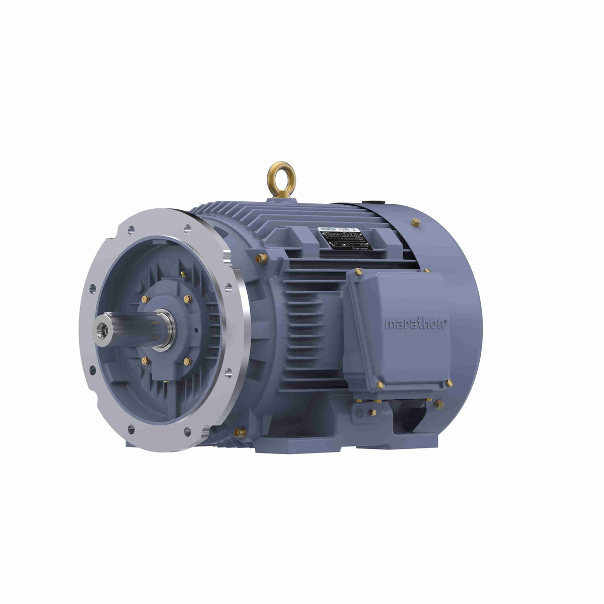 Marathon Electric Cast Iron Motor, 60 HP, 3 Ph, 50 Hz, 380 V, 3000 RPM, 225M Frame, TEFC