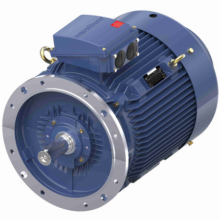 Marathon Electric Cast Iron Motor, 75 HP, 3 Ph, 50 Hz, 400 V, 3000 RPM, 250M Frame, TEFC