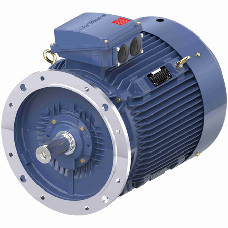 Marathon Electric Cast Iron Motor, 50 HP, 3 Ph, 50 Hz, 400 V, 1000 RPM, 250M Frame, TEFC