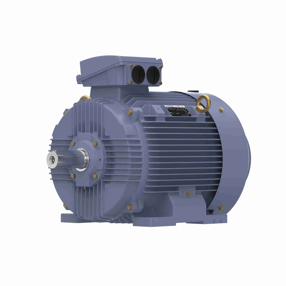 Marathon Electric Cast Iron Motor, 40 HP, 3 Ph, 50 Hz, 380 V, 750 RPM, 250M Frame, TEFC