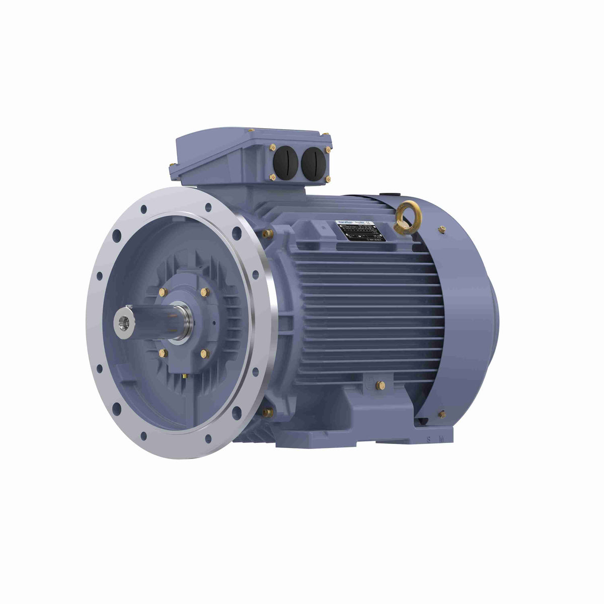 Marathon Electric Cast Iron Motor, 40 HP, 3 Ph, 50 Hz, 380 V, 750 RPM, 250M Frame, TEFC