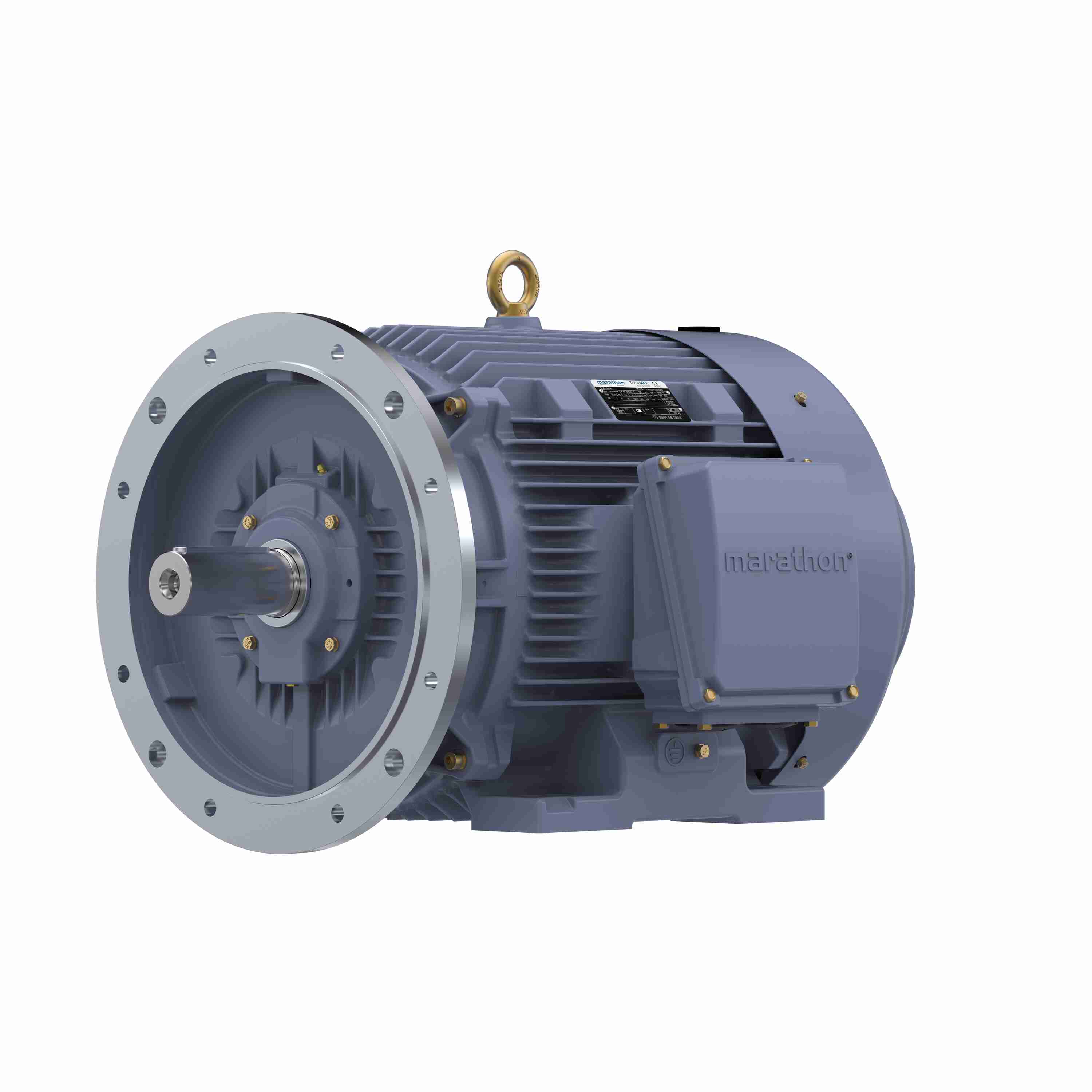 Marathon Electric Cast Iron Motor, 75 HP, 3 Ph, 50 Hz, 380 V, 3000 RPM, 250M Frame, TEFC