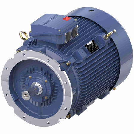 Marathon Electric Cast Iron Motor, 100 HP, 3 Ph, 50 Hz, 400 V, 3000 RPM, 280S Frame, TEFC