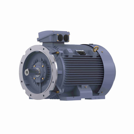 Marathon Electric Cast Iron Motor, 50 HP, 3 Ph, 50 Hz, 380 V, 750 RPM, 280S Frame, TEFC