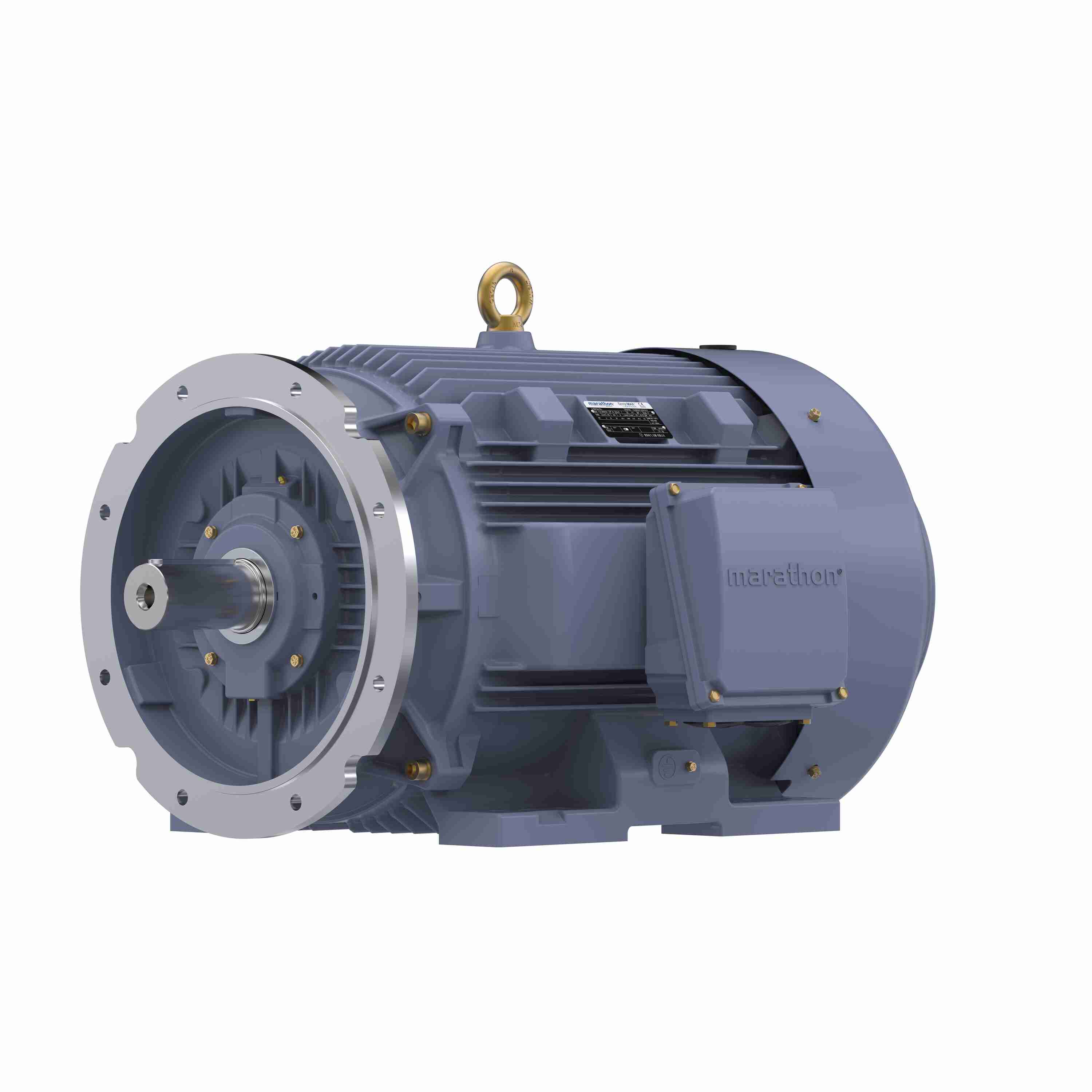 Marathon Electric Cast Iron Motor, 60 HP, 3 Ph, 50 Hz, 380 V, 750 RPM, 280M Frame, TEFC