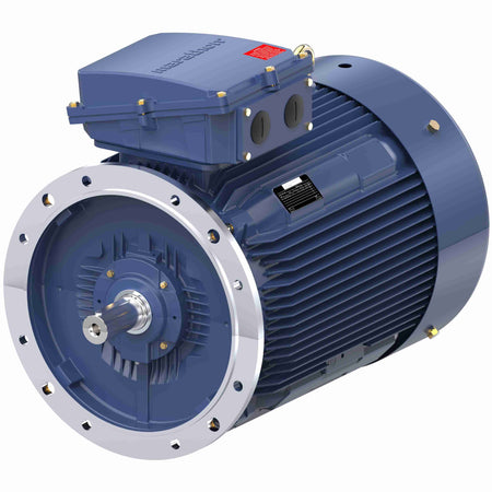 Marathon Electric Cast Iron Motor, 150 HP, 3 Ph, 50 Hz, 400 V, 3000 RPM, 315S Frame, TEFC