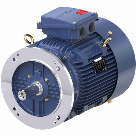 Marathon Electric Cast Iron Motor, 20 HP, 3 Ph, 50 Hz, 400 V, 1500 RPM, 160L Frame, TEFC