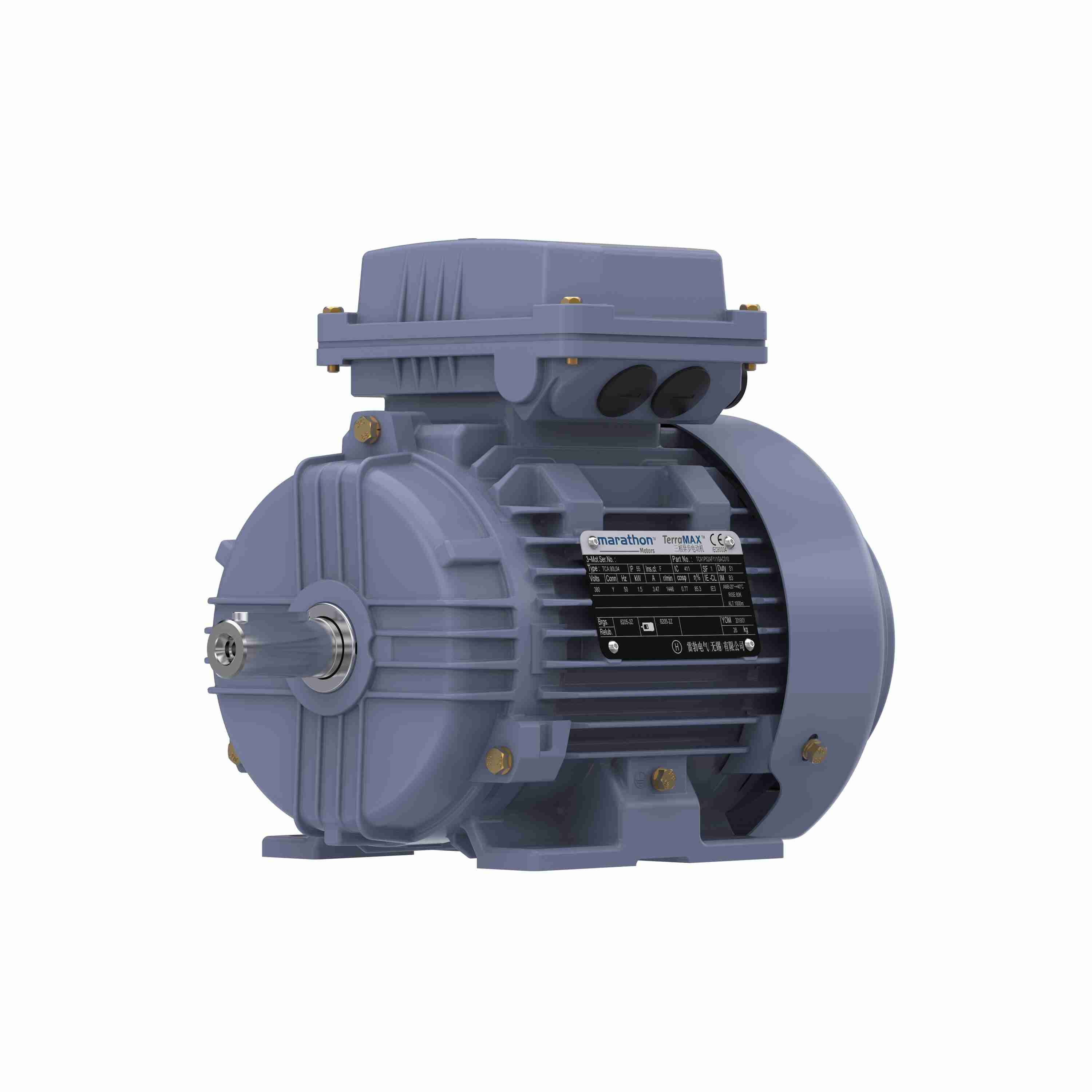 Marathon Electric Cast Iron Motor, 3 HP, 3 Ph, 50 Hz, 380 V, 3000 RPM, 90L Frame, TEFC