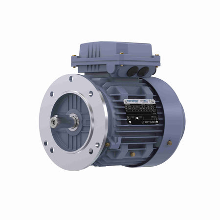 Marathon Electric Cast Iron Motor, 2 HP, 3 Ph, 50 Hz, 380 V, 3000 RPM, 90S Frame, TEFC