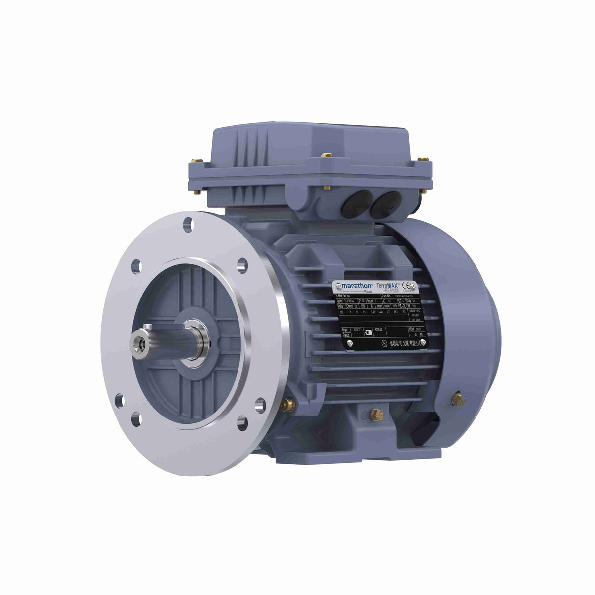 Marathon Electric Cast Iron Motor, 1 HP, 3 Ph, 50 Hz, 380 V, 1000 RPM, 90S Frame, TEFC