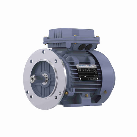 Marathon Electric Cast Iron Motor, 2 HP, 3 Ph, 50 Hz, 380 V, 3000 RPM, 90S Frame, TEFC