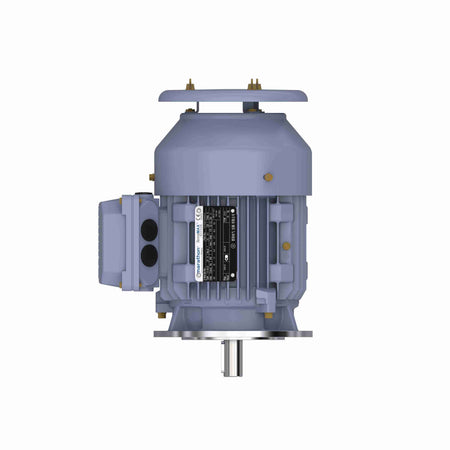 Marathon Electric Cast Iron Motor, 3 HP, 3 Ph, 50 Hz, 380 V, 3000 RPM, 90L Frame, TEFC