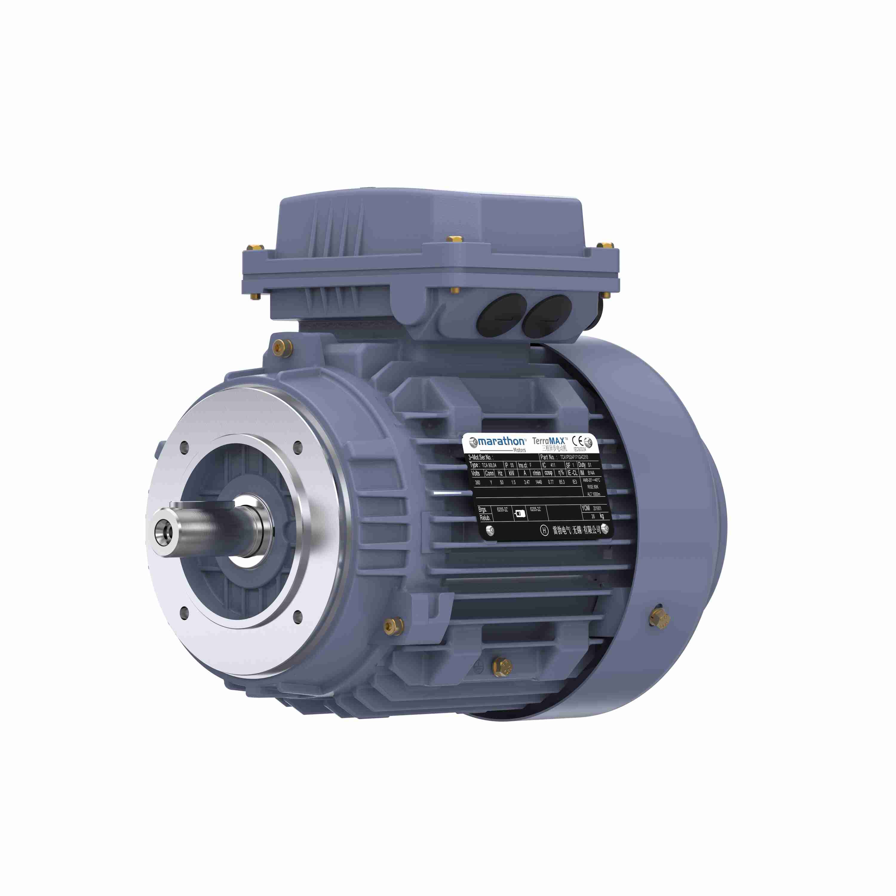 Marathon Electric Cast Iron Motor, 3 HP, 3 Ph, 50 Hz, 380 V, 3000 RPM, 90L Frame, TEFC
